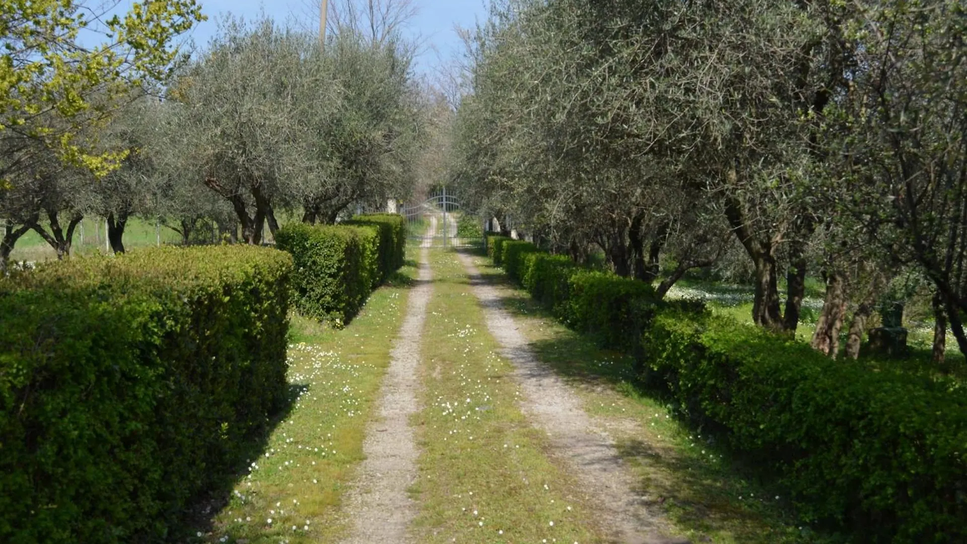 Belvilla By Oyo Villa Degli Ulivi, Cleaning Included Rimini Dom wakacyjny
